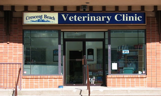 Welcome to the Crescent Beach Vet Clinic